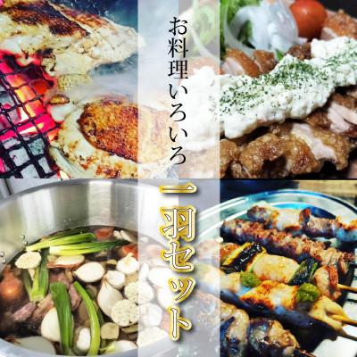 ふるさと納税 松山市 [ひでん農場]媛っこ地鶏 一羽(もも・むね・手羽先・手羽元)お料理いろいろセット 約1.2kg
