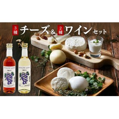 ふるさと納税 常陸太田市 ひたちおおたチーズ工房 チーズ&amp;檜山酒造 ワイン詰め合わせ セット
