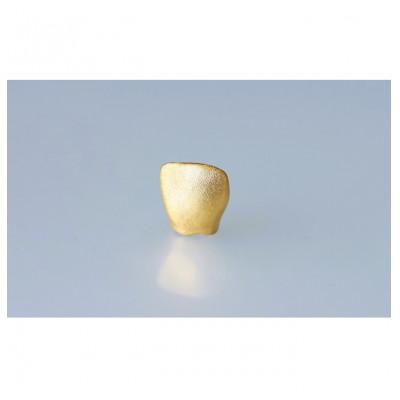 ふるさと納税 姫路市 [53651093]金乳歯(前歯)抜けた乳歯から歯科技工士が作る純金製オブジェ 専用乳歯ケース付き