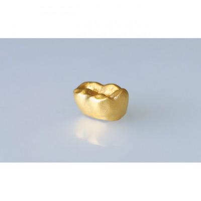 ふるさと納税 姫路市 [53651094]金乳歯(奥歯)抜けた乳歯から歯科技工士が作る純金製オブジェ 専用乳歯ケース付き