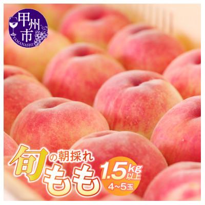 ふるさと納税 甲州市 [2026年 先行受付]山梨県産 旬の朝採れ特選大玉もも 1.5kg以上(4〜5玉)