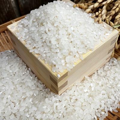 ふるさと納税 千早赤阪村 [白米2kg]大阪府千早赤阪村産 棚田米