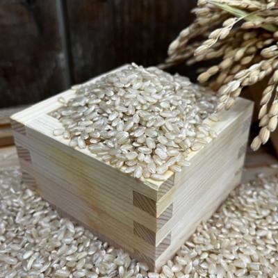 ふるさと納税 千早赤阪村 [玄米2kg]大阪府千早赤阪村産 棚田米
