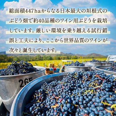 ふるさと納税 浦臼町 鶴沼収穫ワイン【ツヴァイゲルト】赤ワイン 2020