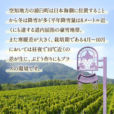 ふるさと納税 浦臼町 鶴沼収穫ワイン【スペシャルキュヴェ ロンド
