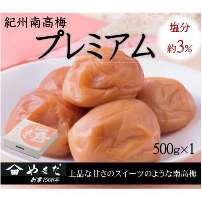 ふるさと納税 日高川町 紀州南高梅プレミアム塩分約3%(500g)
