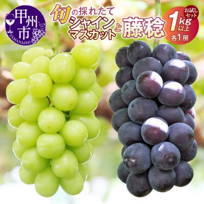ふるさと納税 甲州市 [2026年 先行受付]お試しセット!旬の採れたてシャインマスカット&amp;藤稔 1.0kg以上