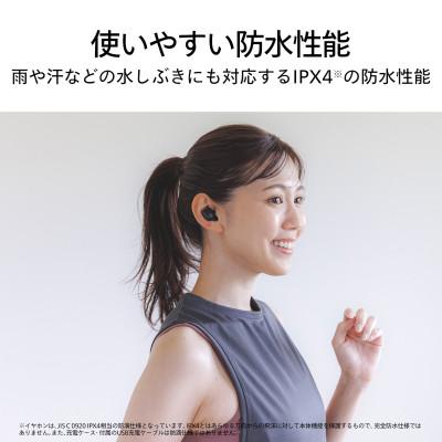 ふるさと納税 燕市 ツインバード　ワイヤレスイヤホンAV-9344B　フルワイヤレス |  | 01