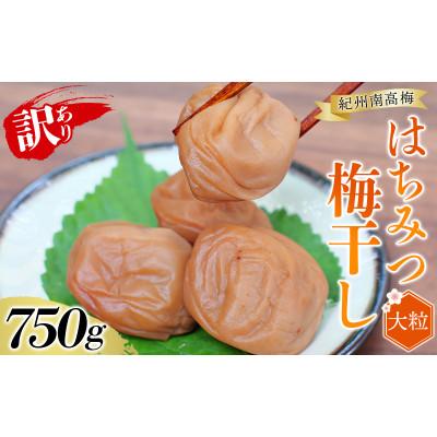 ふるさと納税 すさみ町 訳あり無選別紀州南高梅はちみつ 750g