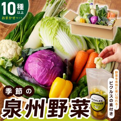 ふるさと納税 泉佐野市 季節の泉州野菜 10種 おまかせセット ピクルスの素 2袋付き 010B1544