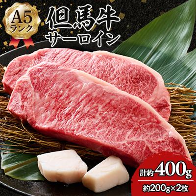 ふるさと納税 養父市 但馬牛 A5 サーロイン 2枚 | 