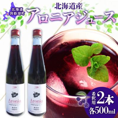 ふるさと納税 洞爺湖町 北海道産 アロニアジュース 500ml 2本 希釈用 北海道 洞爺湖町