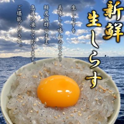 ふるさと納税 南知多町 生しらす400g 訳ありしらす干し1kg 計1.4kg