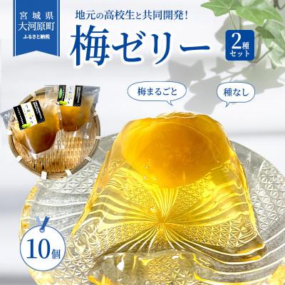 ★ 絶版★うめ吉　ー春の詩 ーふるさとー　各500ピース★2セット売り★② ふるさと納税 大河原町 [53751986]大河原の梅と清水のゼリー うめ果