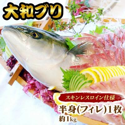 ふるさと納税 延岡市 [大和ブリ]半身(フィレ)約1.0kg×1枚 スキンレスロイン仕様