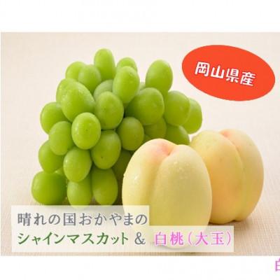 ふるさと納税 高梁市 [2026年発送]岡山県産 シャインマスカット1房900g以上&amp;白桃 大玉 4〜6玉1.5kg以上