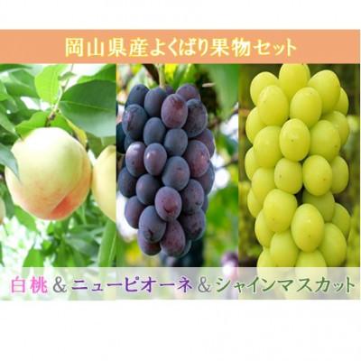 ふるさと納税 高梁市 よくばり果物セット 岡山県産 白桃2玉、シャインマスカット2房、ニューピオーネ2房