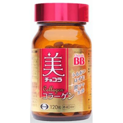 ふるさと納税 富山市 [120粒×1瓶]エーザイ 美チョコラ コラーゲン 120粒×1瓶