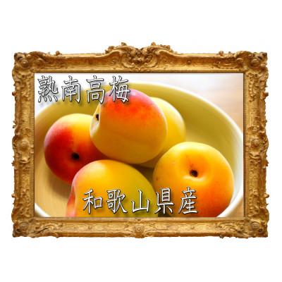 ふるさと納税 紀美野町 [梅干・梅酒用等]紀州和歌山の熟南高 生梅赤秀品(大玉4L-2kg) 6月上旬から7月上旬順次発送