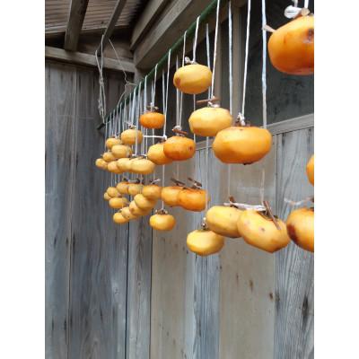 ふるさと納税 紀美野町 吊るし柿用 生渋柿 ひもセット[T字軸枝付or吊るしクリップ付]約9~12果、1.5~2kg入り箱