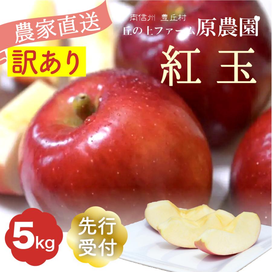 ふるさと納税 豊丘村 [丘の上ファーム]りんご「紅玉」訳あり5kg(12-22玉) 2026年9月より発送