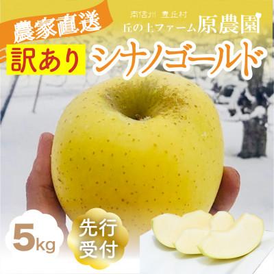 ふるさと納税 豊丘村 [丘の上ファーム]りんご「シナノゴールド」訳あり5kg(11-20玉) 2026年10月より発送