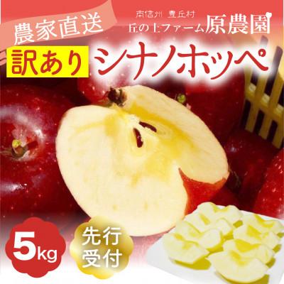 ふるさと納税 豊丘村 [丘の上ファーム]希少品種『シナノホッペ』訳あり5kg(11-20玉) 2026年10月より発送