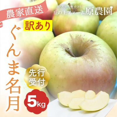 ふるさと納税 豊丘村 [丘の上ファーム]りんご「ぐんま名月」訳あり5kg(11-20玉) 2026年10月より発送