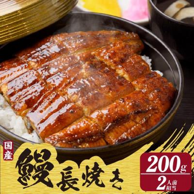 ふるさと納税 知立市 国産特上うなぎ長焼き1尾