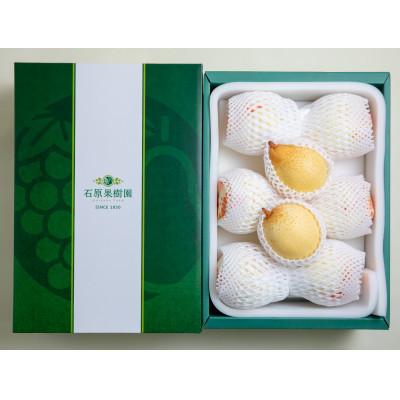 ふるさと納税 岡山市 ヤーリー4kg贈答箱 6〜10玉 (YR-40)