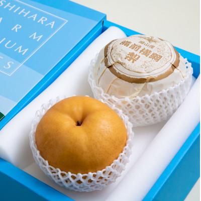 ふるさと納税 岡山市 備前横綱梨2玉箱赤秀(1〜1.5kg玉)(BY2-10