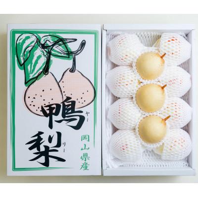 ふるさと納税 岡山市 [2025年発送]家庭用 ヤーリー 4kg箱 6〜13玉(YR-K)