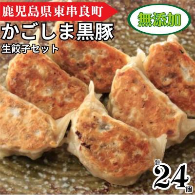 ふるさと納税 東串良町 鹿児島黒豚生餃子セット(12個入×2パック・計24個)[0095119a]