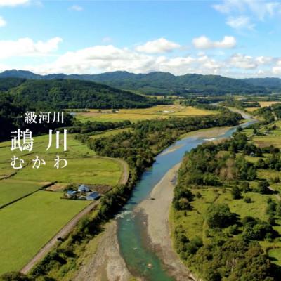 ふるさと納税 むかわ町 [返礼品なし]むかわ町応援寄附金