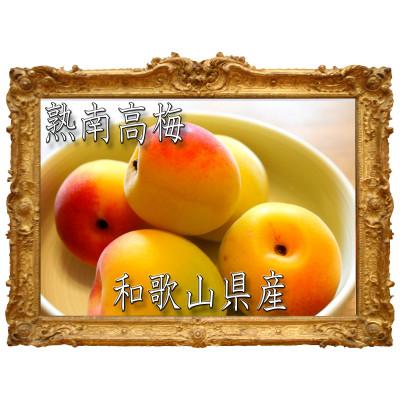 ふるさと納税 かつらぎ町 [梅干・梅酒用]紀州和歌山熟南高梅 大玉4Lサイズ 約2kg赤秀品[6月上旬〜7月上旬発送予定]
