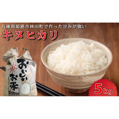 ふるさと納税 姫路市 [令和7年産新米]&lt;10月初旬以降発送予定&gt;きぬひかり5キロ 兵庫県姫路市産