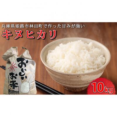 ふるさと納税 姫路市 [令和7年産新米]&lt;10月初旬以降発送予定&gt;きぬひかり10キロ