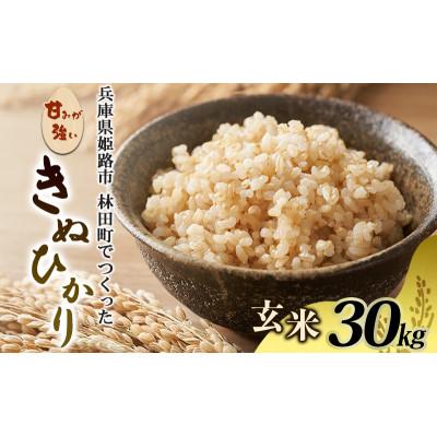 ふるさと納税 姫路市 (令和7年産)<10月初旬以降発送予定>きぬひかり玄米30キロ