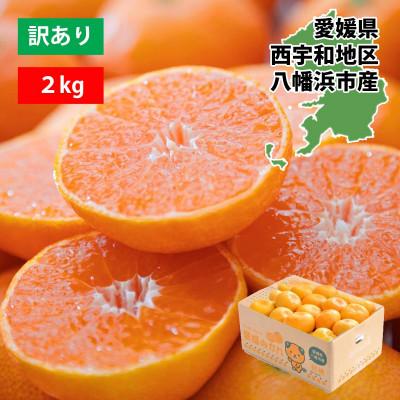 ふるさと納税 八幡浜市 [先行受付]西宇和地区八幡浜産 愛媛みかん2kg[訳あり][A25-173]