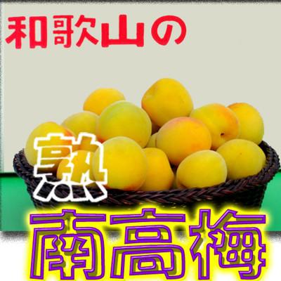 ふるさと納税 紀美野町 [梅干・梅酒用等]紀州和歌山の熟南高梅(3Lまたは2L-2kg) 6月上旬から順次発送