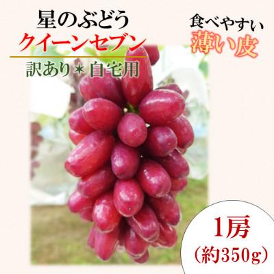 ふるさと納税 雲南市 令和8年夏から順次発送「星のぶどう」 クイーンセブン1房(約350g)[訳あり・ご自宅用]