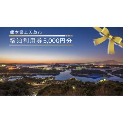 ふるさと納税 上天草市 [熊本県上天草市]宿泊利用券5,000円分