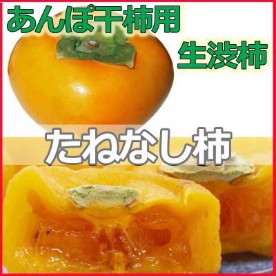 ふるさと納税 紀美野町 アンポ干し柿用平核無柿(ヒラタネナシカキ)生渋柿AP約14.5〜15kg 約50-90果実入り箱