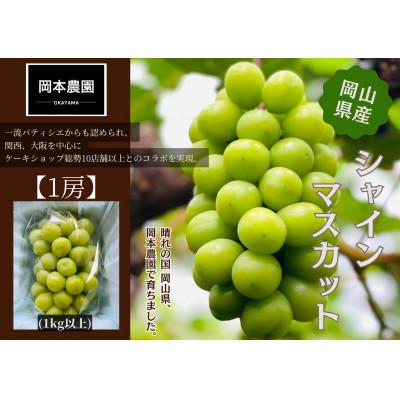 ふるさと納税 岡山市 シャインマスカット1房 化粧箱入り