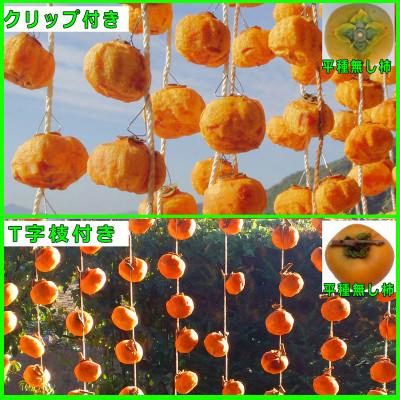 ふるさと納税 紀美野町 吊るし柿用 生渋柿 ひもセット[T字枝付または吊しクリップ付] 約50〜90果、14.5〜15Kg