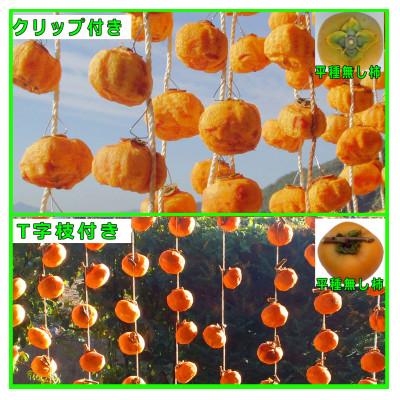 ふるさと納税 紀美野町 吊るし柿用 生渋柿 ひもセット[T字軸枝付または吊るしクリップ付] 約20〜30果、4.5〜5kg