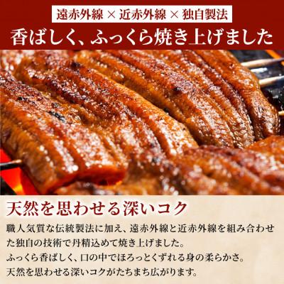 ふるさと納税 島田市 先行受付【6月上旬より配送予定】大五のうなぎ 