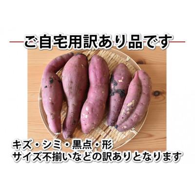 ふるさと納税 益城町 訳あり紅はるか 約10kg(益城町)の画像