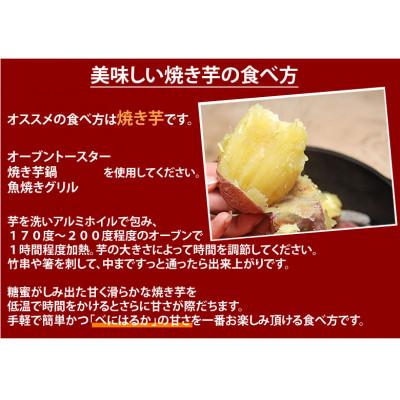 ふるさと納税 益城町 訳あり紅はるか 約10kg(益城町)の画像