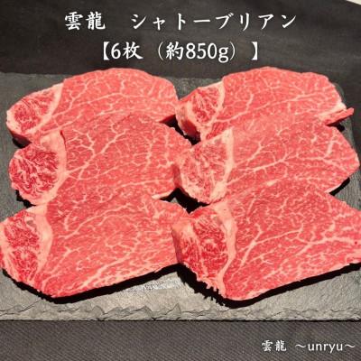 ふるさと納税 玉野市 雲龍 シャトーブリアン[6枚(約850g)](静岡県産本わさび付)